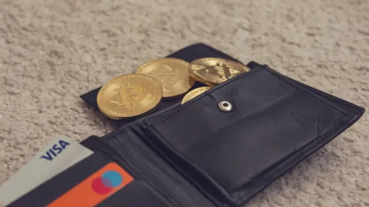 Cryptocurrency Wallet 101: Why You Need It