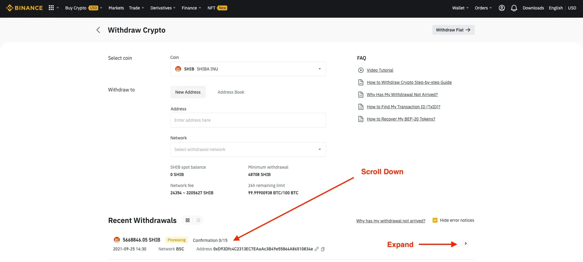 Transfer to safepal from binance - Check Transaction Status