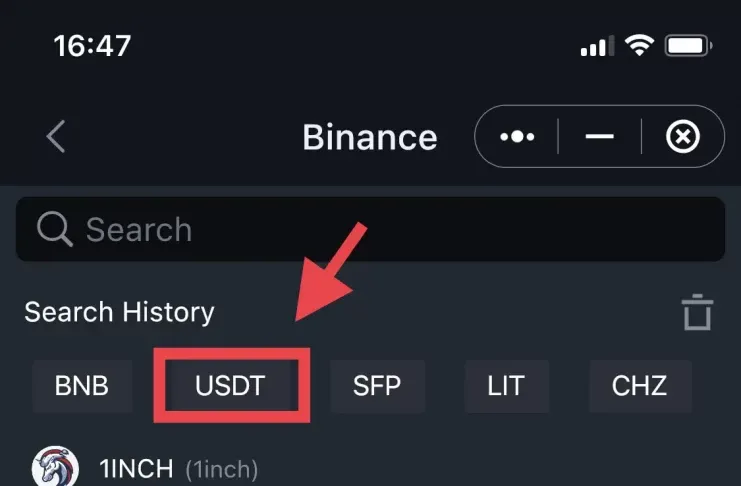 Binance dApp choose stablecoin
